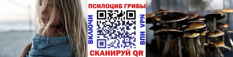 Галлюциногенные грибы Magic Shrooms  МЕГА как войти  Ковылкино 